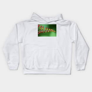 Lily Kids Hoodie